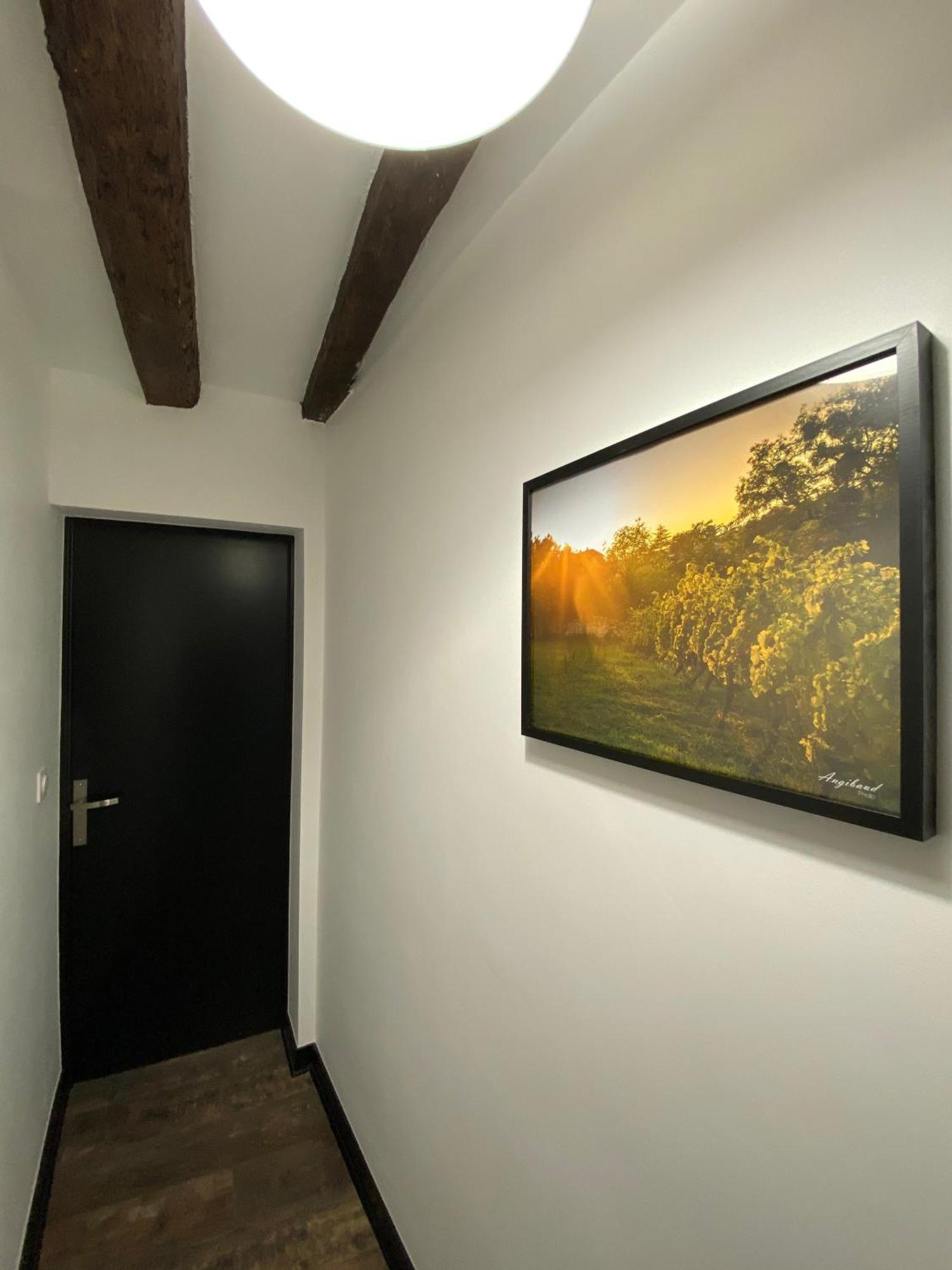 La Propriete De Bacchus Apartment Saumur Room photo